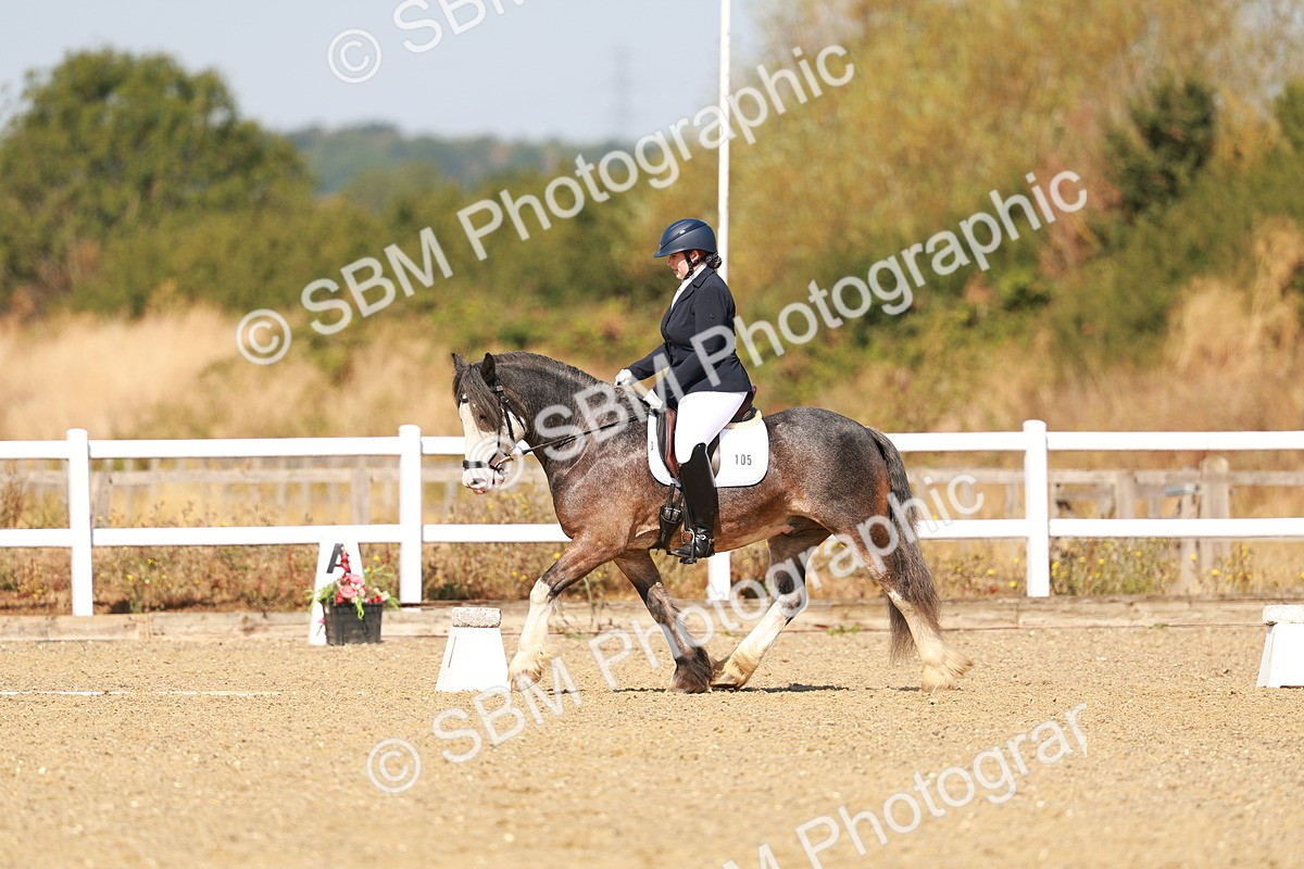SBM_017789 - Class 9 - N5 Bronze 10.33.11.36