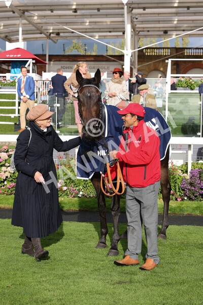 yr07102022r4-70 - Race 4 3.50pm William Hill Best Odds Guaranteed Stakes