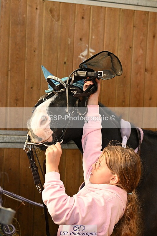 240809A-090620-00055 - Stable Shots