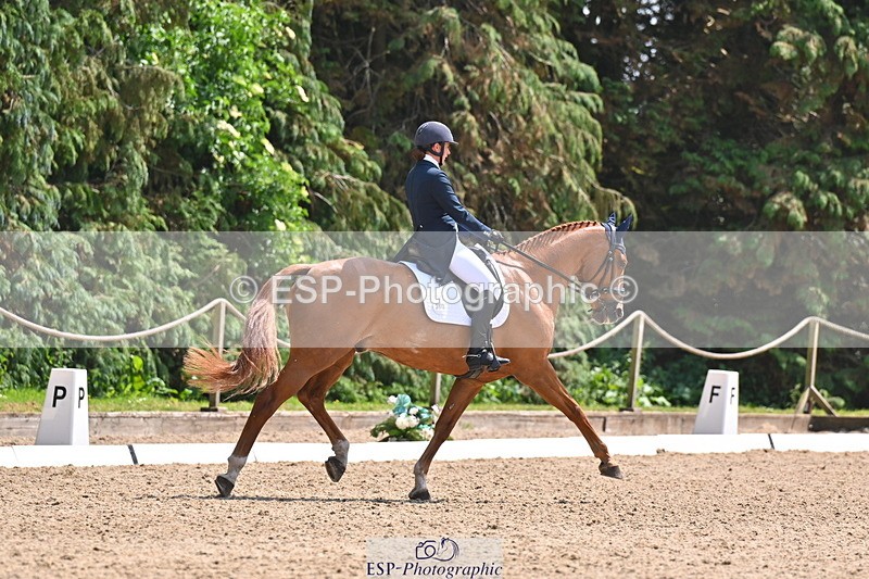 250523A-141444-07264 - B-360-Lucy.K.Wheeler-KING.CREOLE.VD.N.RANCH