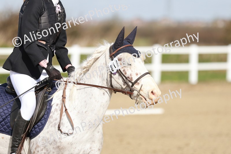 20260314-1118 - DR2 - Intro 3