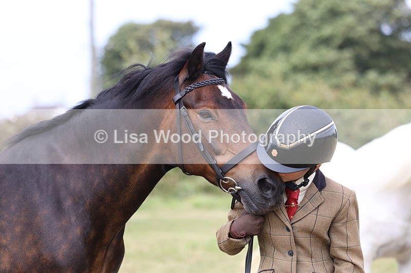 3E7A5297 - Class 18: Veteran in Hand