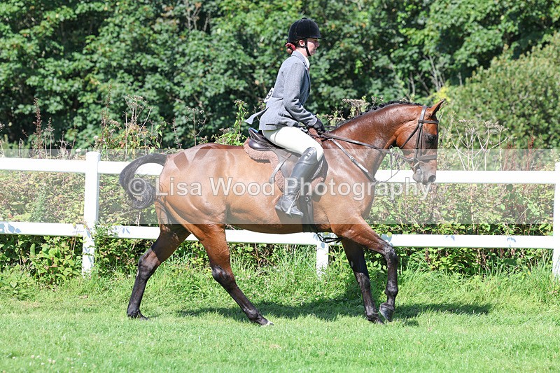 3E7A8359 - Class 4: Novice working Hunter