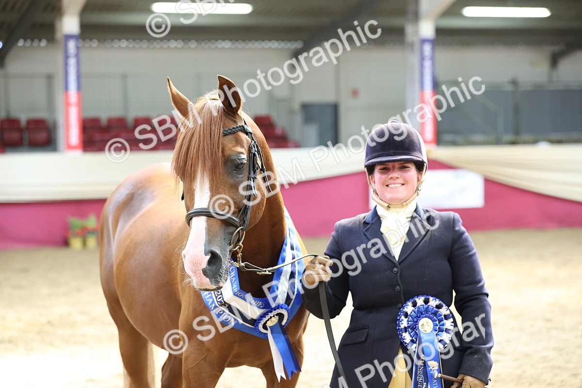 SBM_23075 - Supreme Final - IH  Champ