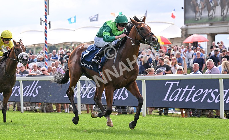 190826-045 Haffner - Race 2 14.25pm Tattersalls Acomb Stakes