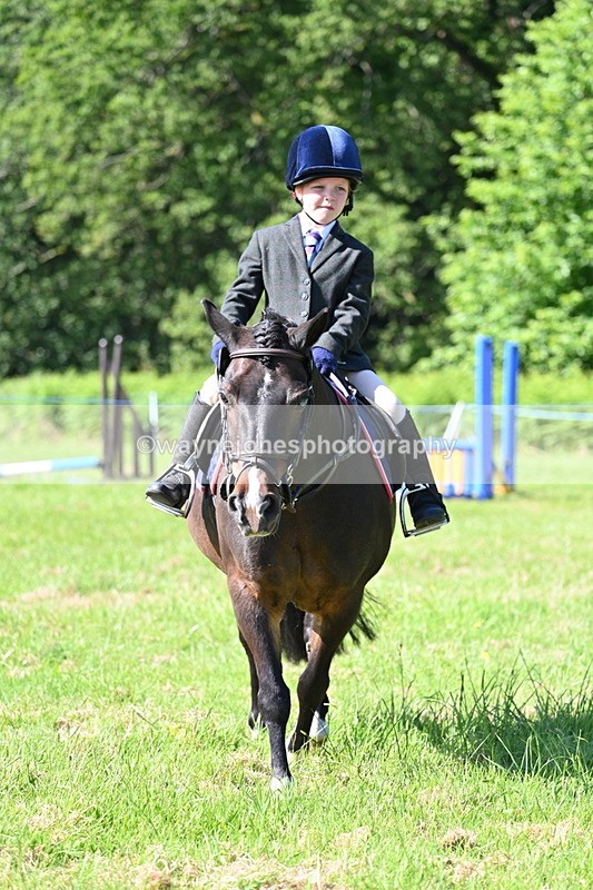 WJ7_0359 - Class 8 First Rally Pony