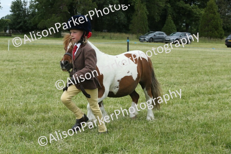 20260614-4299 - Class 18 - Best Junior Handler