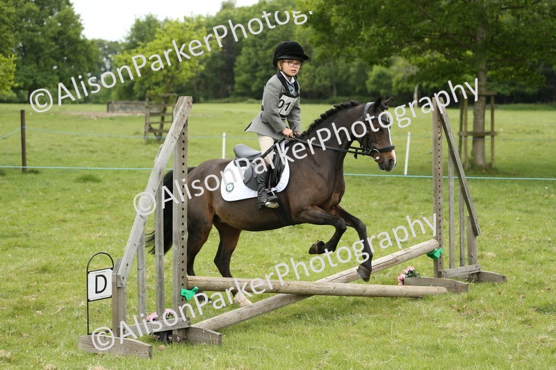 20250517-0467 - Class 20 - Beginners Working Hunter