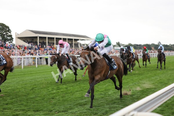 yr18082022r5-21 - Race 5 4.10pm British EBF & Sir Henry Cecil Galtres Stakes