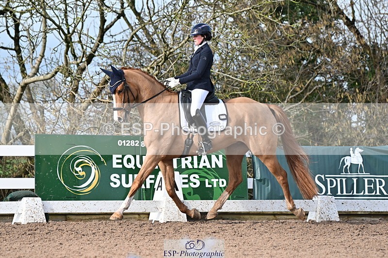 240218A-114120-06799 - 272-Beth.Bainbridge-Newton.Dreamcatcher