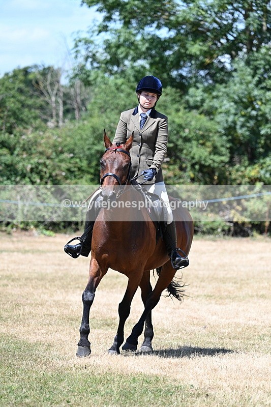 WJ7_3072 - Class 7 Riding Club Show Horse
