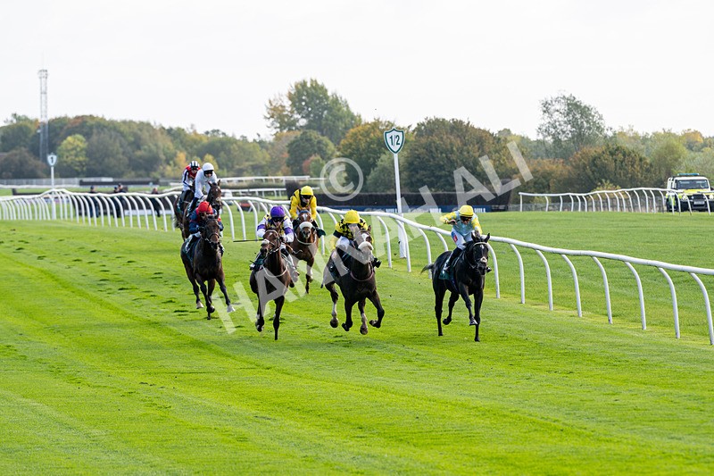 171026-Race 1-Lions Den-4754 - Race 1 1pm EBF 'Confined' Restricted Maiden Stakes
