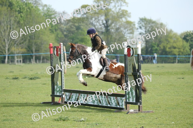 20260426-0062 - Class 13 - Rookie Jumping 50cm