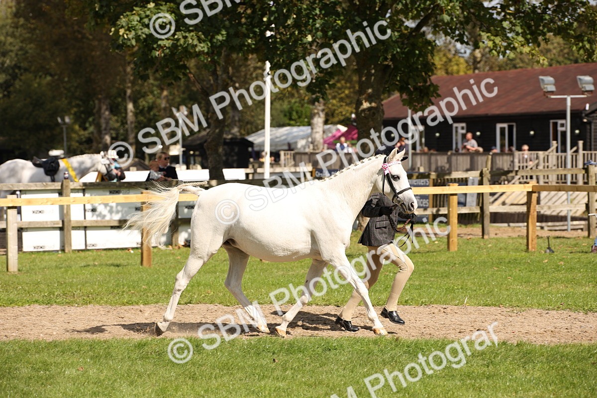 SBM_44387 - S24 - Young Veteran in hand