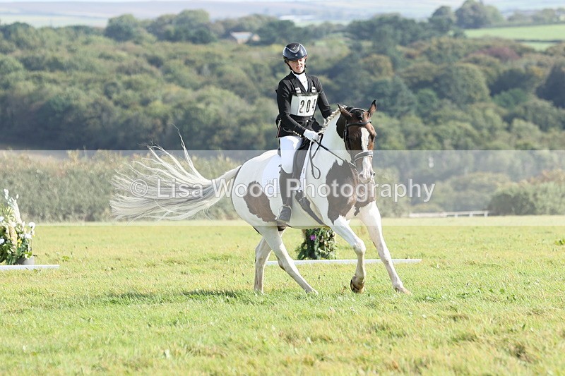 JPP_8132 - Class 2A: Trekenning Open: Dressage