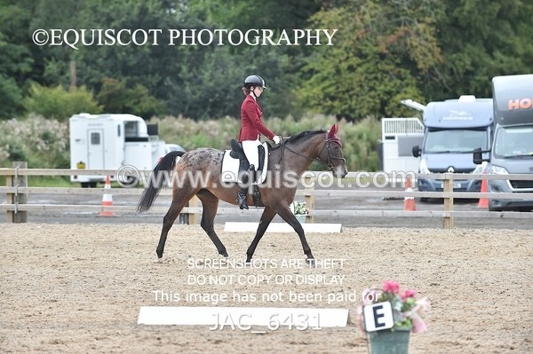 JAC_6431 - PRELIM 2