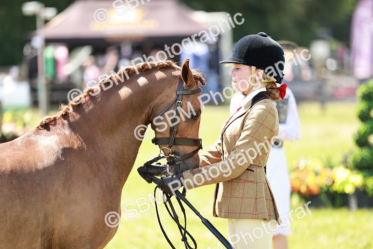 SBM_15683 - Class 108-109 - BSPS LIHS Open Gradle & Nursery Stakes