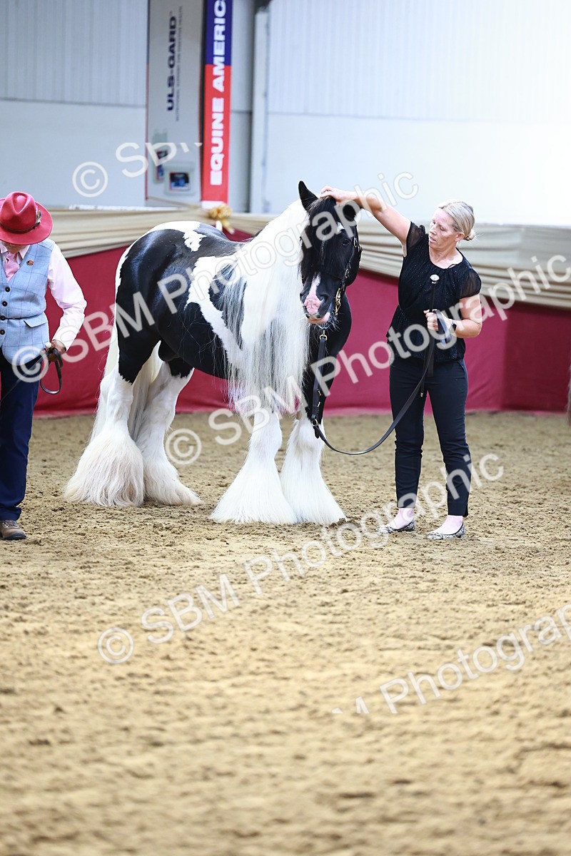 SBM_22341 - Class 902 - Supreme Final - IH Diamond