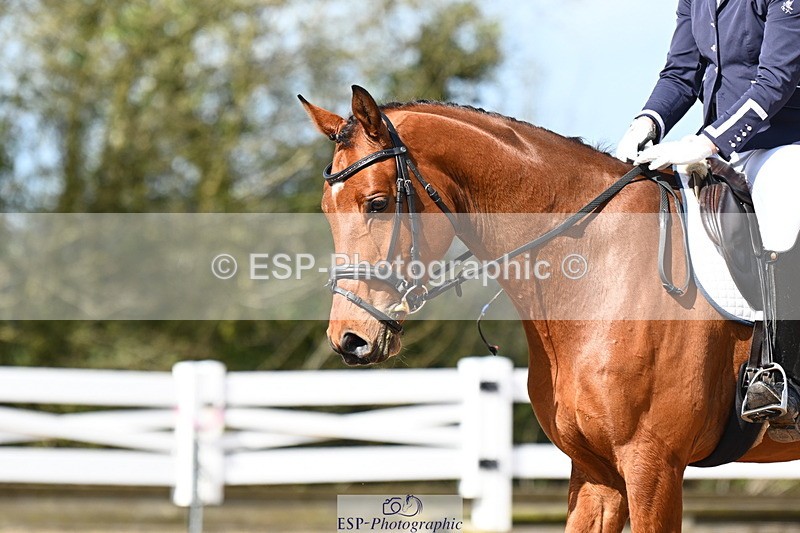 240323A-114712-02698 - DR Novice 34