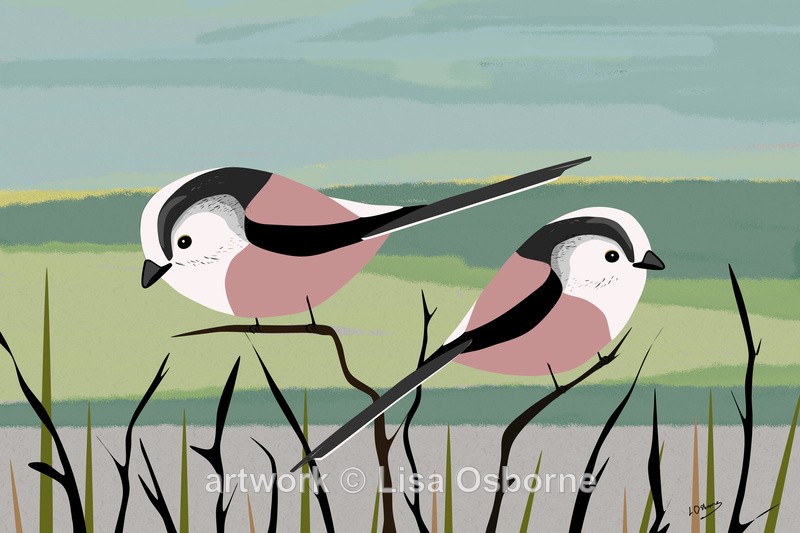 Long-tailed tits - DIGITAL ARTWORK