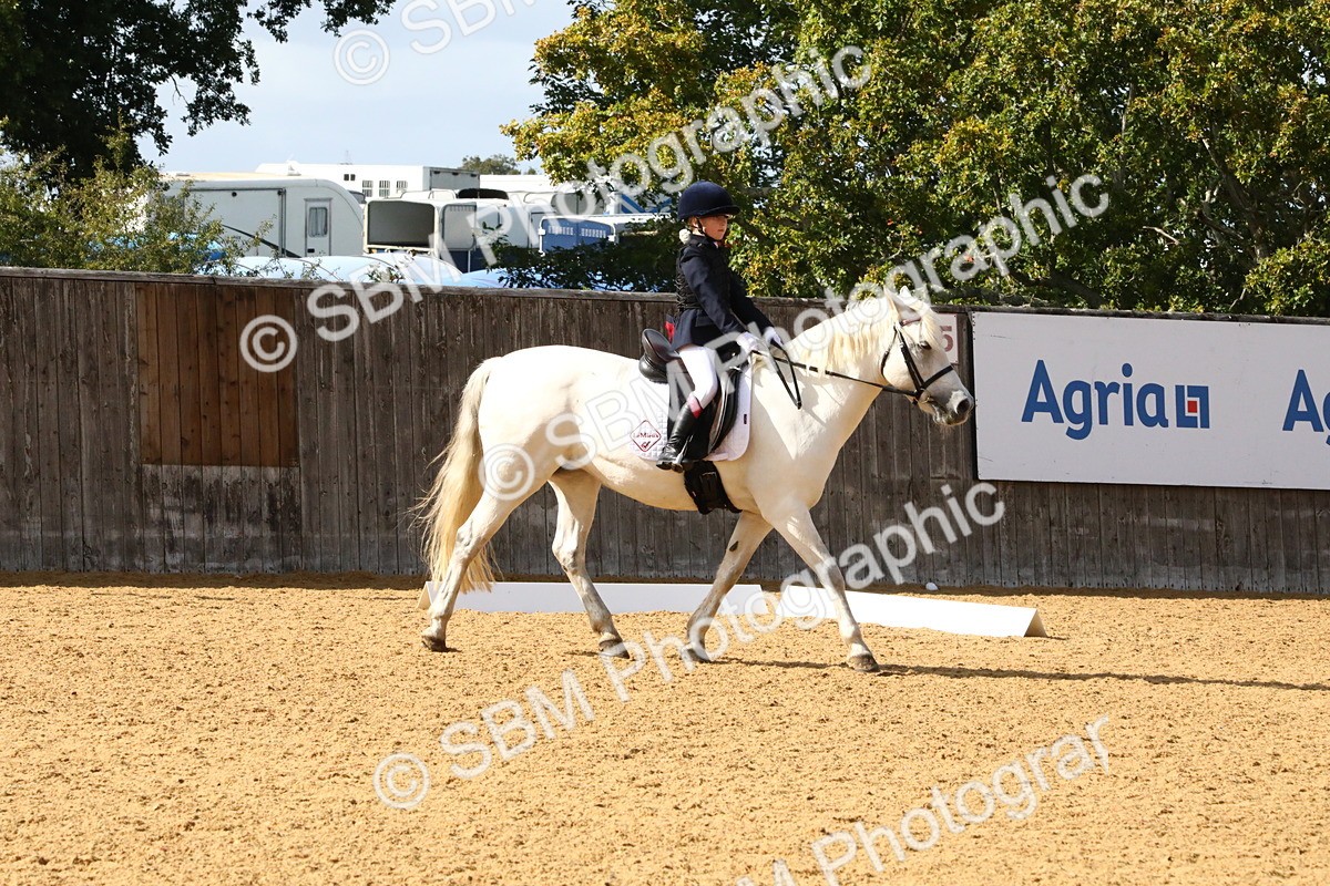 SBM_24434 - D5 - Small Tour Championshop Intro 2