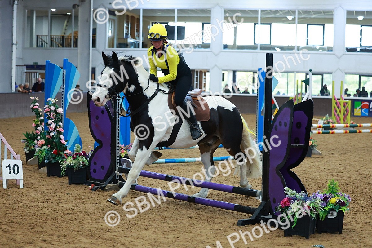 SBM_002315 - Class 3 - Horse & Hound (60cm)