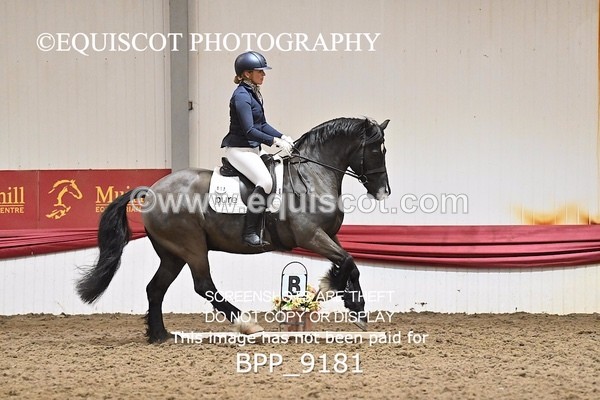 BPP_9181 - ELEM 4