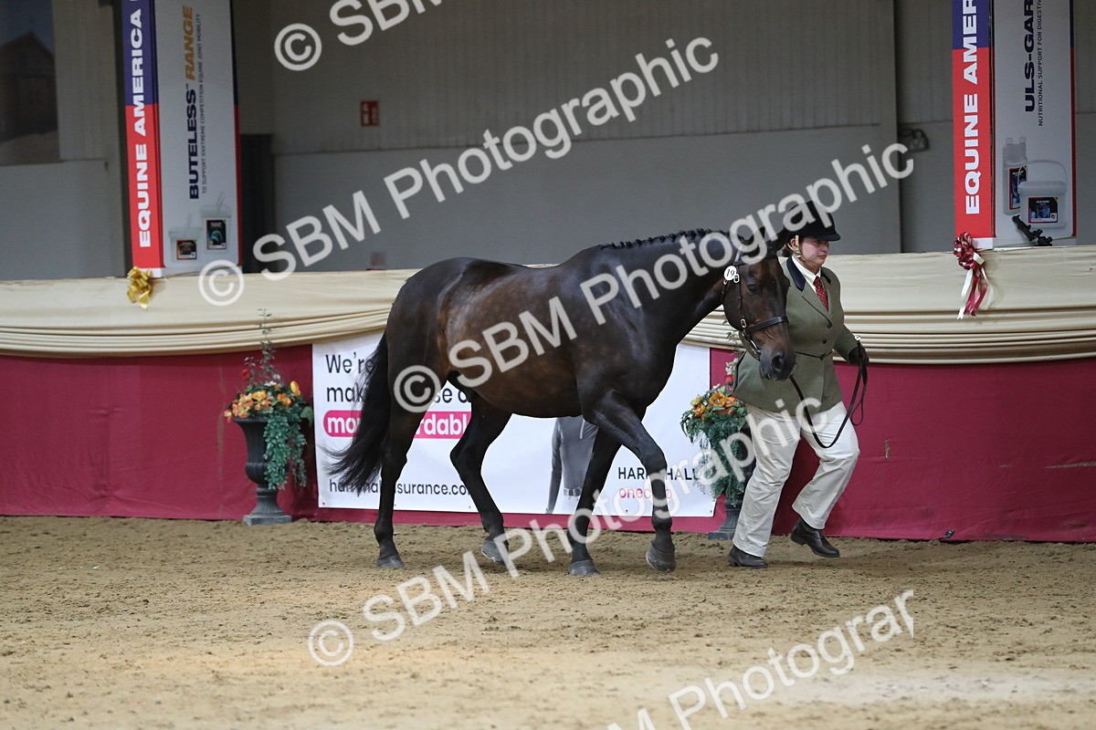 SBM_06251 - Class 9R Regional- IH Pre Vet