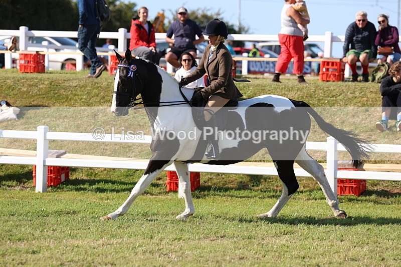 3E7A4091 - Supreme Championship