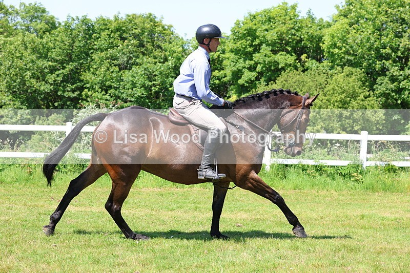 3E7A7187 - Class 30: Novice Working Hunter