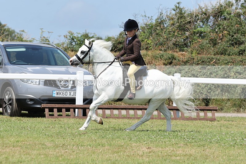 JPP_1868 - Class 18: Tiny Tots Working Hunter Pony