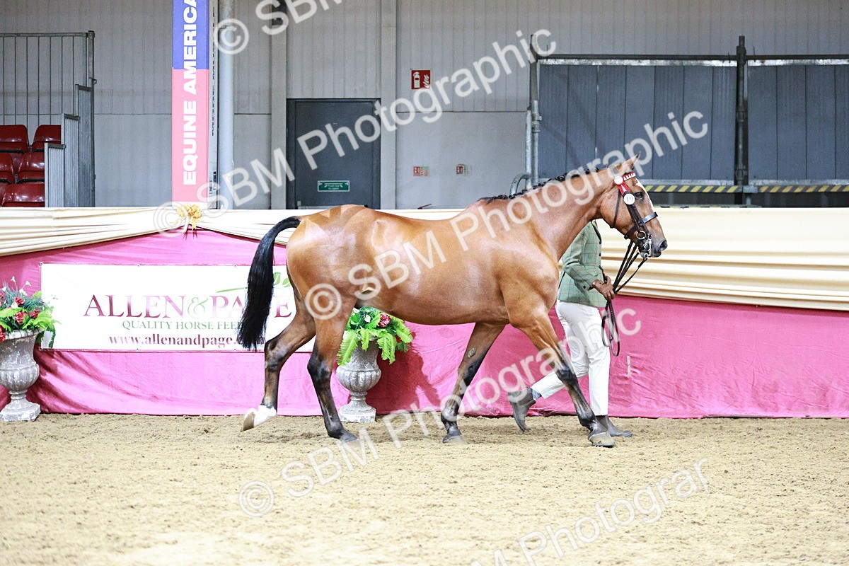 SBM_01117 - Class 3A - Area IH Pre-Vet