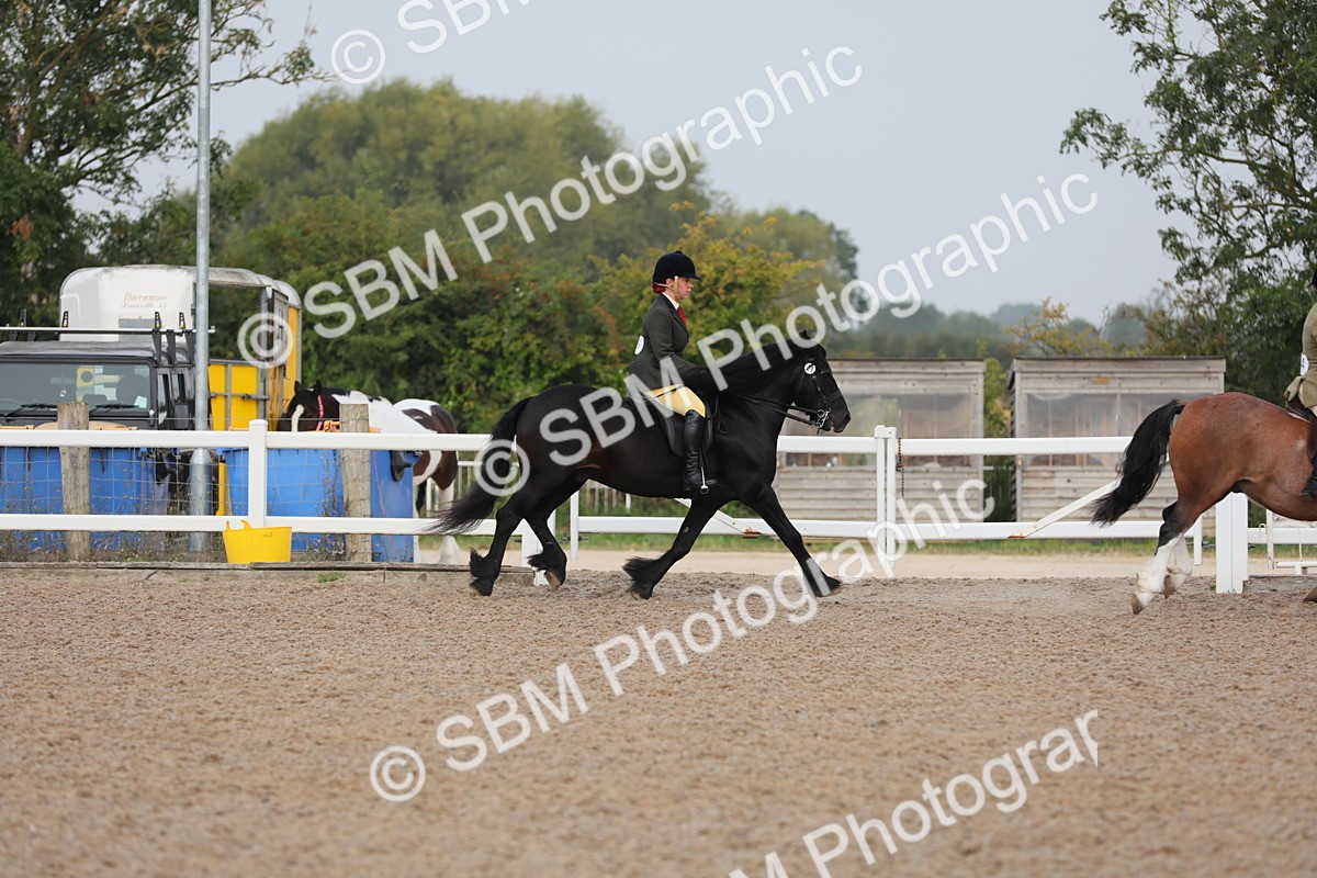 SBM_10016 - Class 302 Ridden M&M -Large Breeds