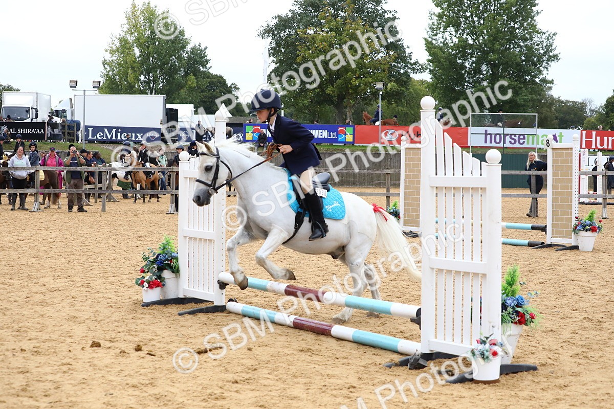 SBM_68144 - J3b - Mini Tour Junior Pony 40cm Championship