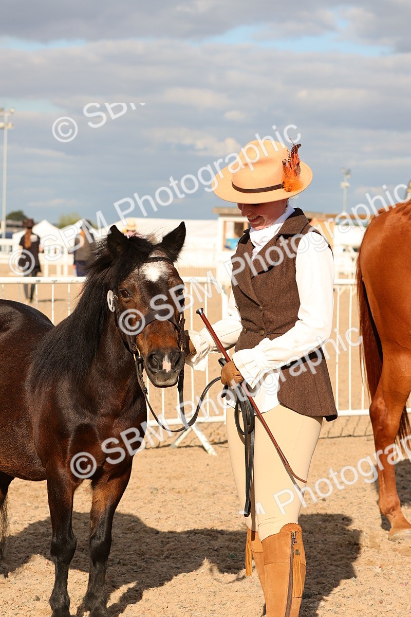 SBM_18407 - Class 318 - IH Part Bred Horse Pony