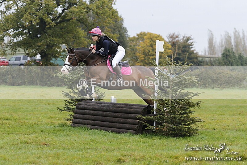 WWHT 181020 WWHT 181020 487 - WWEC Open Novice (0.80m) 18/10/20