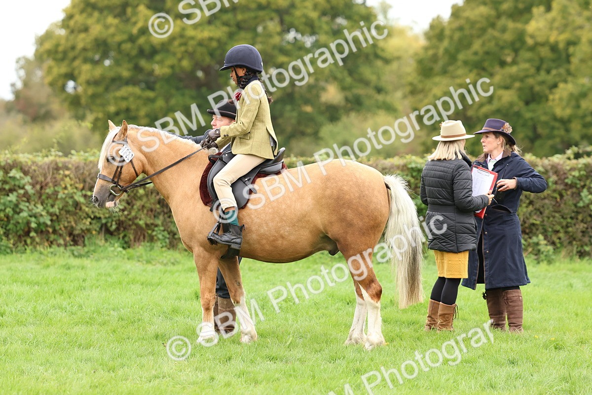 SBM_64511 - S58 - Coloured Pony Ridden