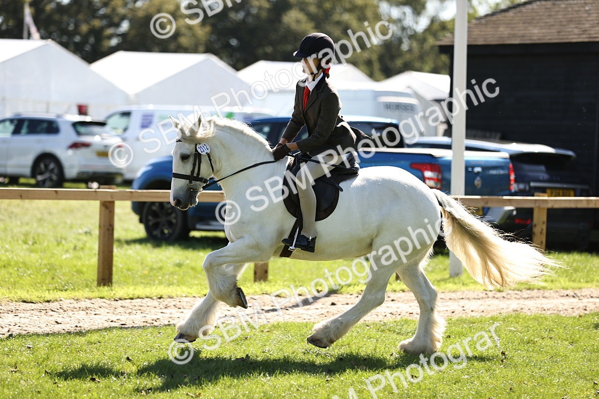 SBM_19328 - S3 - TSR Ridden Pony Showing