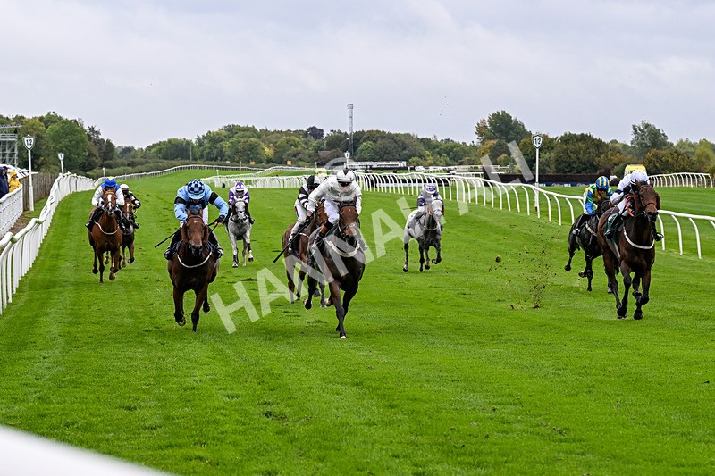 011025-Race 1-Edgewater Drive-0035 - Race 1