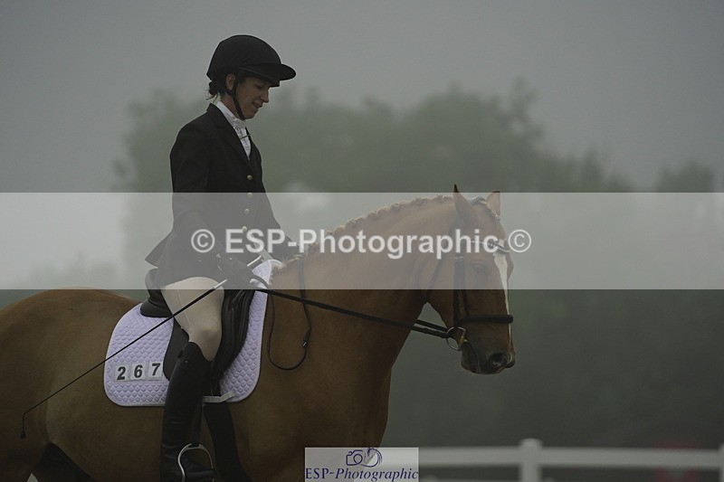 230708A-150314-03978 - Prelim 18