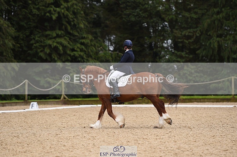 230426-111302-00410 - Cls 4 Novice 38Q Start to 11.30 break