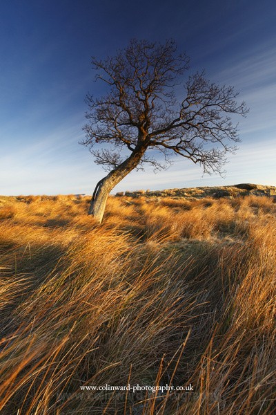 Bowes Moor   ref no 3031 - The Pennines and Cumbria
