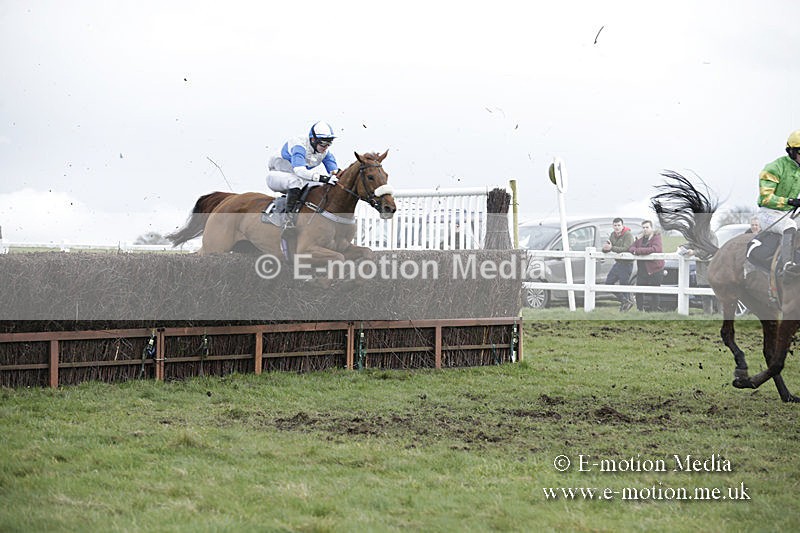 PtP 150320 0589 - New Forest Point-to-Point Larkhill 15/03/20