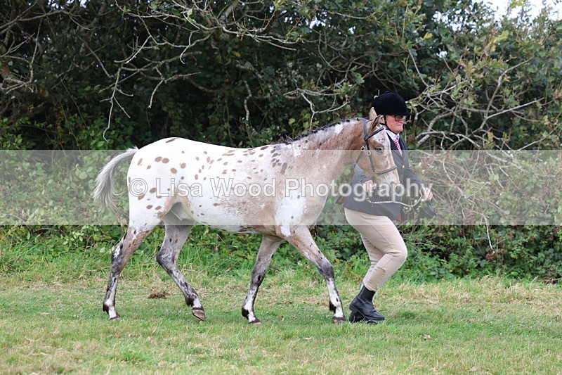 3E7A4069 - Class 15: Two Year Olds