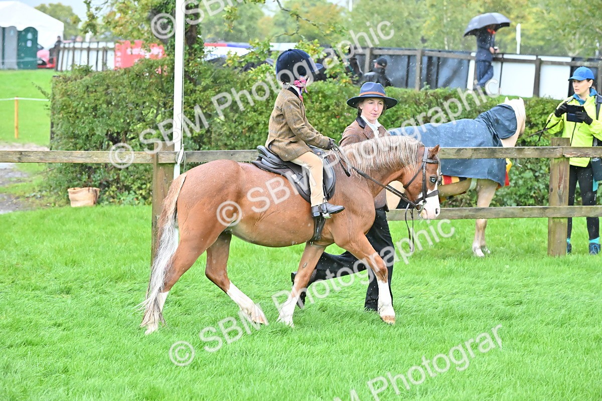 SBM_36488 - S18 - Novice & Newcomer Lead Rein Pony