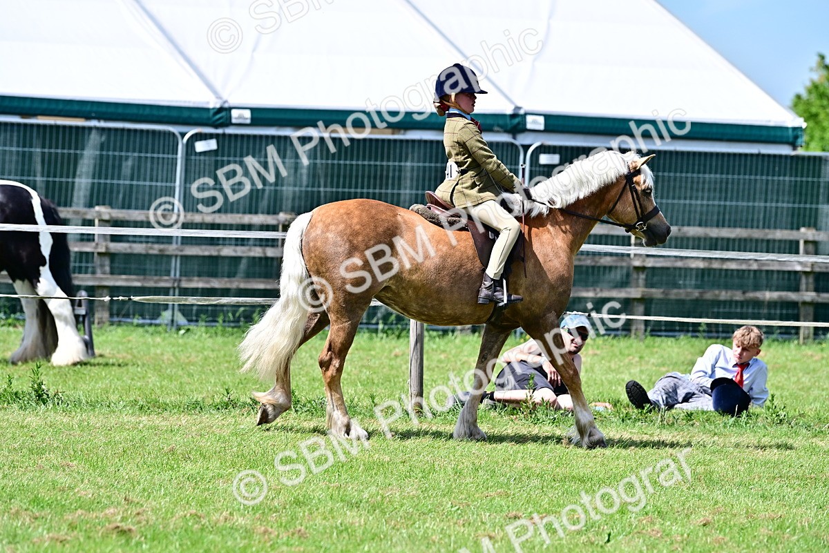 SBM_07867 - Class 61-62 - TSR  M&M Ridden Amateur of the Year