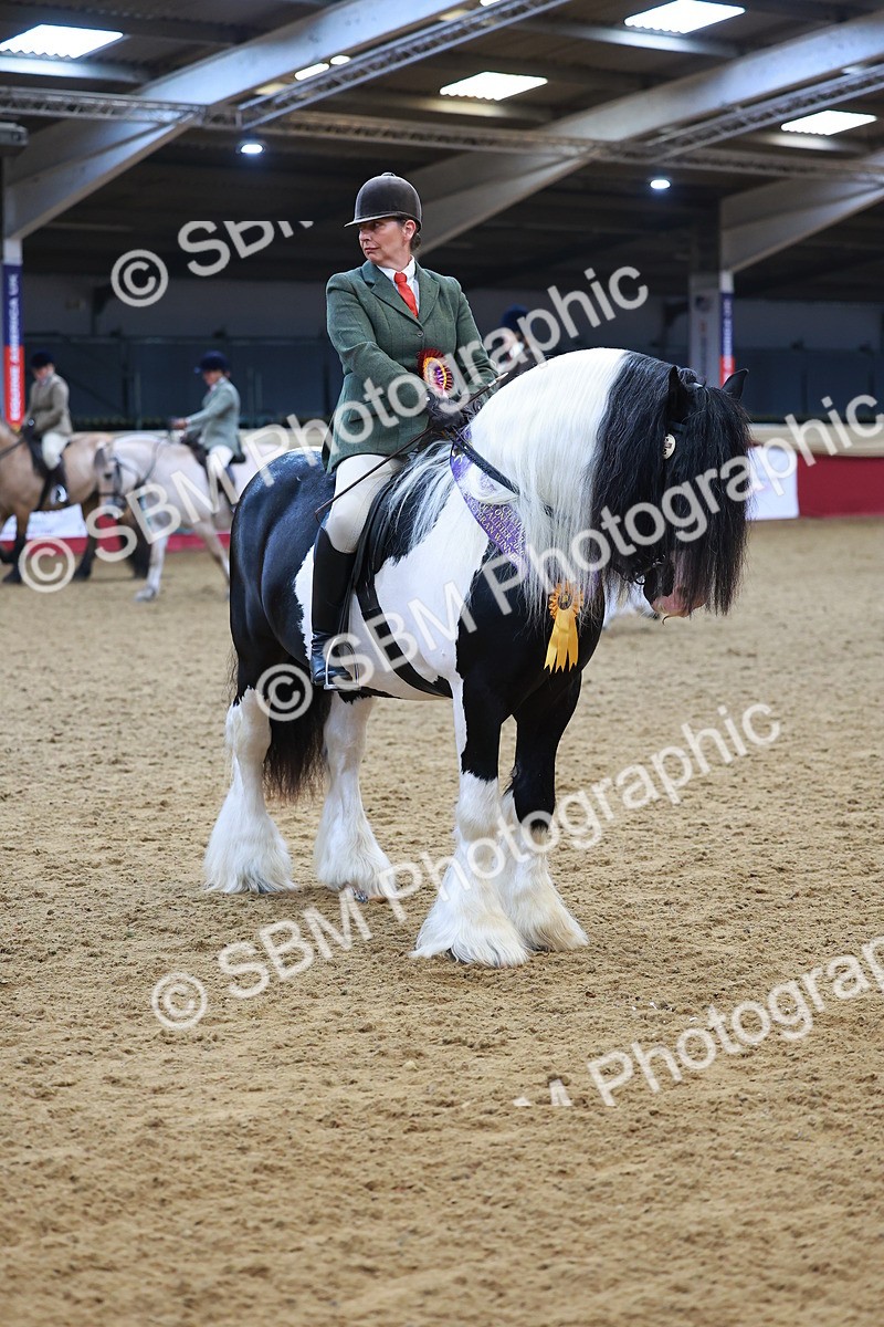 SBM_09861 - Class 102 - HOYS Veteran Qualifier - Ridden Veteran