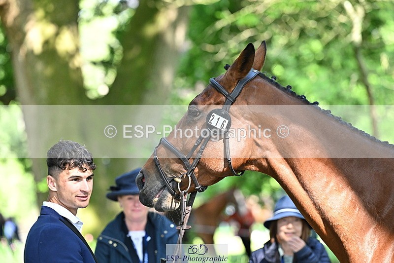 250521A-162058-01080 - C-216-Harrison.Chart-MY.KIND.OF.LADY