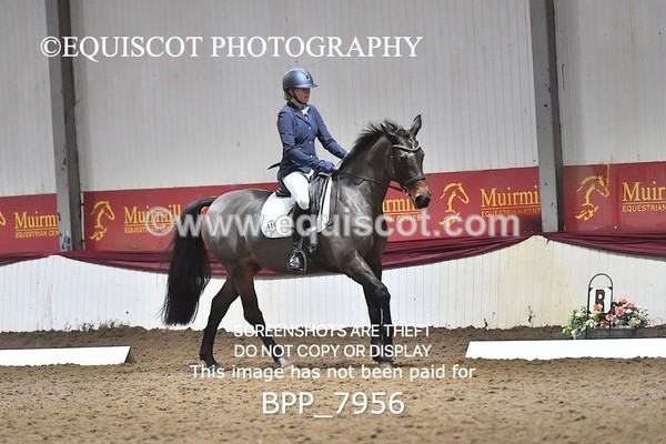 BPP_7956 - ELEM TEST 6