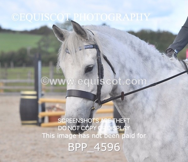 BPP_4596 - CLASS 9 HORSE 70CM FINAL